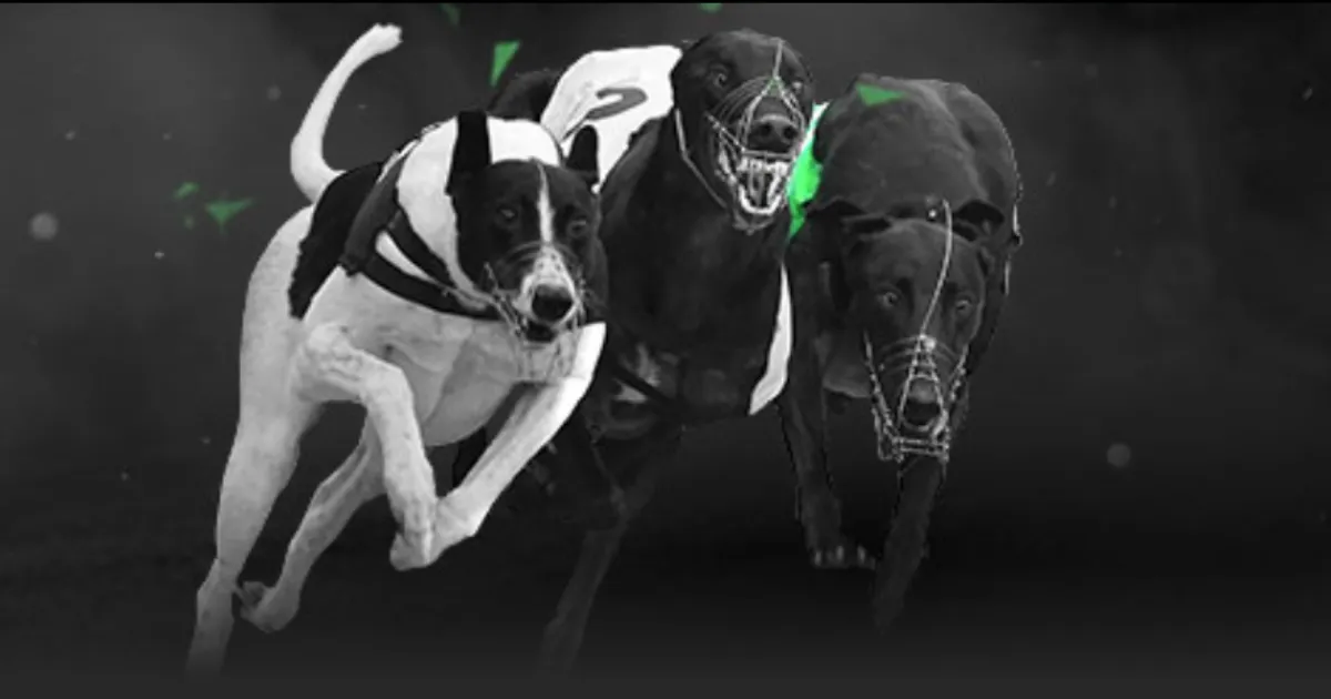 林诗栋登顶,世界第一后,首战亮相,米兰体育娱乐官网,米兰体育娱乐App,米兰体育娱乐直播,米兰体育娱乐登录,米兰体育娱乐平台